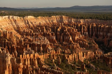 Sabah Güneşi, Bryce Kanyonu 'ndaki amfitiyatronun karşısında sert gölgelere neden oluyor.