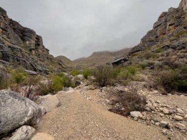 Big Bend Ulusal Parkı 'nın uzak bir köşesindeki Sierra Del Caballo Muerto Dağları' nda Çatlaklar Yıkama