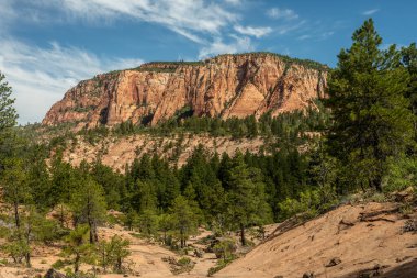 Zion 'daki Kumtaşı Kanyonu' ndan geçen Bağlantı İzi Rüzgarı