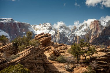Bakirenin kuleleri Zion Ulusal Parkı 'ndaki kanyonda kayalarla kaplı.