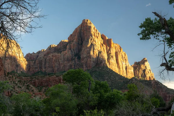 Wachter Gloeit Bij Zonsondergang Het Nationaal Park Zion Stockfoto