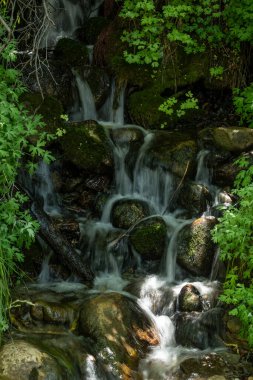 Beatty 'deki su Zion' daki kayaların üzerine düşüyor.