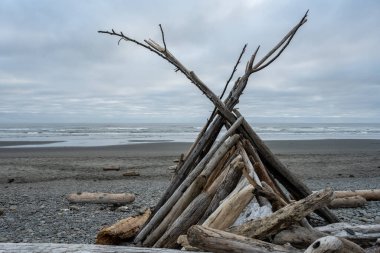 Olimpik Ulusal Park 'taki Kaloloch Sahili kıyısında Driftwood Yapısı