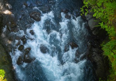 Hoh Nehri Olimpiyat Dağları 'ndaki Dar Kanyon' a akıyor