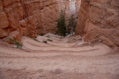 Bryce 'taki Navajo Döngü Yolu' na Sıkı Dönüşümler Düştü