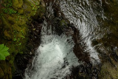 Canyon Creek Drops Over Small Cliff In Olympic National Park clipart