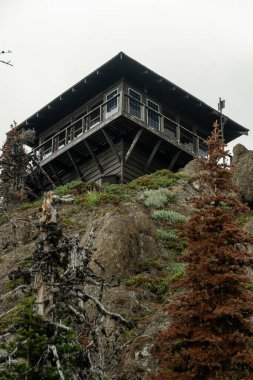 Looking up at Fire Tower at Gobbler Knob in Mount Rainier National Park clipart
