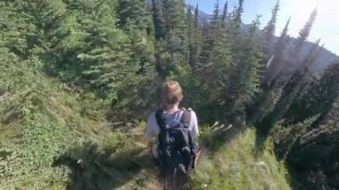 Rainier Dağı Ulusal Parkı 'nın Alp Bölgesi' nde Yürüyen Kadın Tepesi