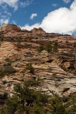 Zion Ulusal Parkı 'nda Kanyon Kanyonu' na bakan dik uçurumlar