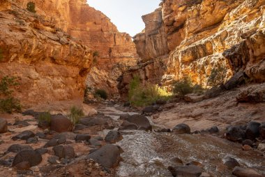 Sülfür Deresi Capitol Resif Ulusal Parkı 'ndaki Rocky Kanyonu' ndan akıyor