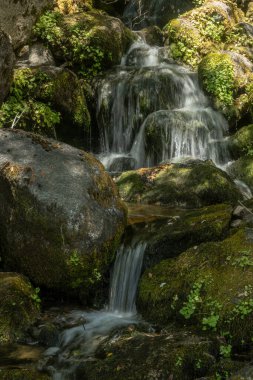 Tiltill Deresi Şelalesi Yosemite Ulusal Parkı 'ndaki yosunlu kayalar