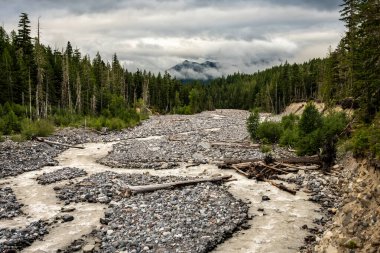 Rainier Dağı Ulusal Parkı 'nda Nisqually Nehri Rüzgârı Nehir Altında Yatıyor