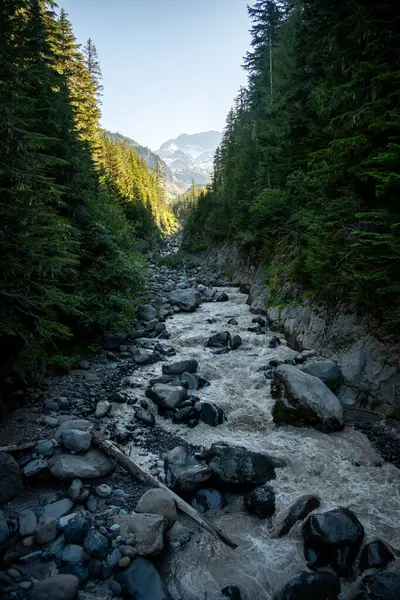 stock image Black Boulders Litter Puyallup Creek In Mount Rainier National Park