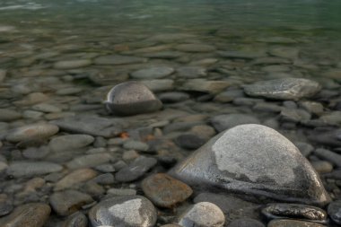 Olimpiyat Ulusal Parkı 'ndaki Hoh Nehri' nin sığ sularında gri taşlar.