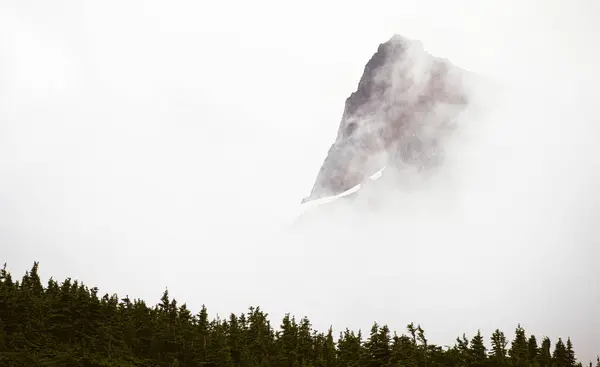 stock image Echo Rock Shrouded In Fog Below Mount Rainier National Park
