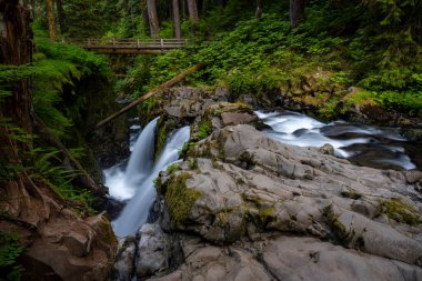Sol Duc Falls 'un Olimpiyat Ulusal Parkı' ndaki Dar Kanyon 'a akın ettiği Uzun Maruz Kalma