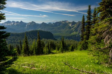 Adams Dağı, Rainier Dağı Ulusal Parkı 'ndaki Mildred Point Çayırı' ndan Horizon 'un üzerinde oturuyor.