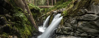 Sol Duc Şelalesinin Panorama 'sı Olimpiyat Ulusal Parkı' ndaki köprüye doğru ateş ediyor.