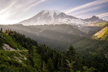 Işık huzmeleri Stevens Kanyonuna Rainier Dağı 'nın aşağısındaki Ulusal Park' a düşüyor.
