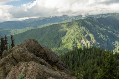 Rainier Dağı Milli Parkı 'nda Hamhımların Üzerinde Kaya Çıkıntısı