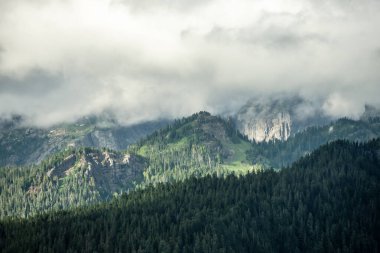 Yağmurlu bir yaz öğleden sonrasında Bulutlar Rainier Dağı 'nın sırtlarına yapışıyor.