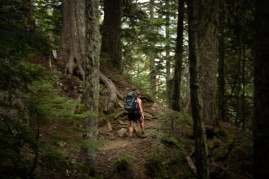 Rainier Dağı Ulusal Parkı 'ndaki Bulanık Pasifik Kuzeybatı Ormanı' nda sırt çantasıyla gezen kadına odaklan