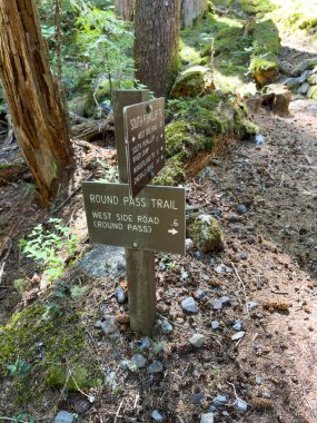 Rainier Dağı Ulusal Parkı 'ndaki Round Pass ve South Puyallup Patikalarının kesiştiği yer.