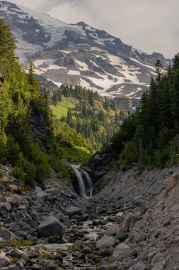 Rainier Dağı 'ndaki Kar Tarlaları Rainier Dağı Ulusal Parkı' ndaki Van Trump Deresi