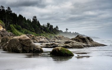 Sis Yaz 'da Olimpiyat Sahili' nin Yüksek Karşıtlık Manzarasını Vuruyor