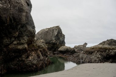 Remaining Water In A Tidal Pool Trapped On Meyers Beach on the Oregon Coast clipart