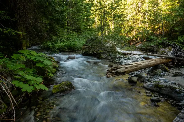 stock image Panther Creek Rushes Around Corner Filled With Debris in North Cascades National Park