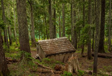 Shelter at Lake George in Mount Rainier National Park clipart