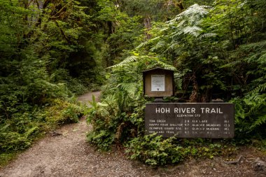 Olimpiyat Ulusal Parkı 'ndaki Hoh Nehri Patikası' nın önünü imzala.