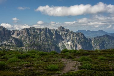 Rainier Dağı Ulusal Parkı 'ndaki Kayalıklar Yükseliyor