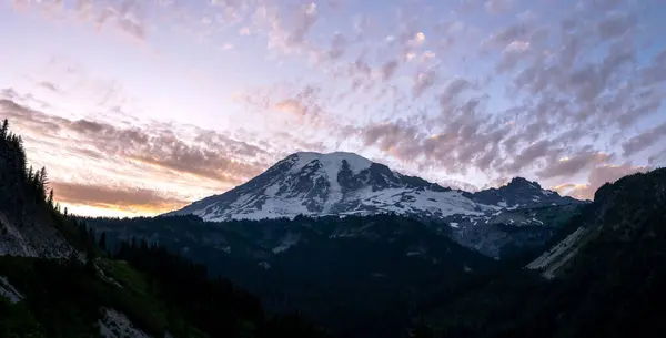 stock image Evening Light Fades In Stevens Canyon Below Mount Rainier at sunset