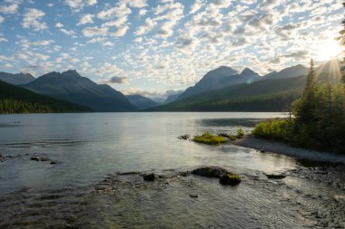 Buzul Ulusal Parkı 'ndaki Bowman Gölü' nden Nehir Dalgaları