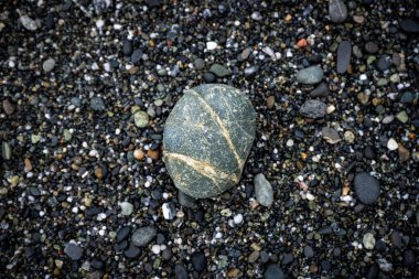 Rocky Sahilinde, Redwood Ulusal Parkı 'nda, Gri Kaya Üzerindeki Tan Stripes