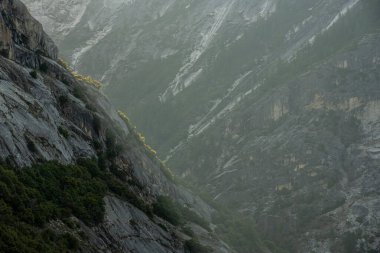Yoğurt İnce Katmanı Yosemite 'deki Kar Koyu Yolu boyunca Sabah Işığını Yakala