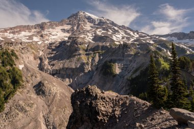 Rainier Dağı Ulusal Parkı 'ndaki Myrtle Point Manzarası' ndan Rainier Dağı 'nın görüntüsü