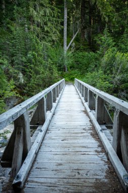 Weathered Wooden Bridge Crosses South Puyallup River In Mount Rainier National Park clipart