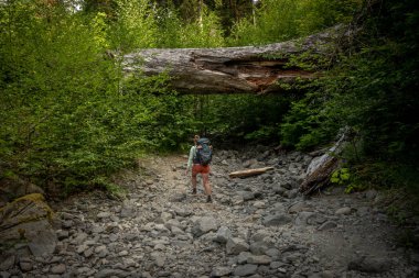 Kadın, Olimpiyat Ulusal Parkı 'nda, Hogh Nehri boyunca Rocky Wash boyunca sırt çantasıyla dolaşıyor.