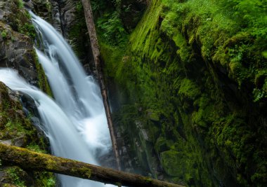 Sol Duc Falls 'un Kolları Olimpiyat Ulusal Parkı' ndaki Mossy Kanyonu 'na hücum ediyor