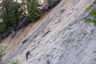 Backpacker Scrambles Up Steep Slope on Hoh River Trail in Olympic National Park clipart