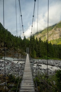 Rainier Dağı Ulusal Parkı 'ndaki karbon nehrinin karşısındaki asma köprüden kablolar sarkıyor.