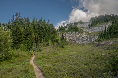 Hiker Crosses Meadow Below A Cloudy Mount Rainier In Spray Park on a summer afternoon clipart