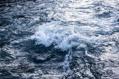 Olimpiyat Ulusal Parkı 'ndaki Hoh Nehri' nde Beyaz Başlıklar