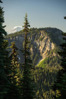 Adams Dağı, Rainier Dağı Ulusal Parkı 'nda Ufukta yükseliyor.