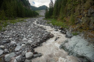 Muddy Carbon River Snakes Through The Boulders Heading Down Mount Rainier clipart