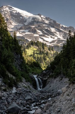 Upper Comet Şelalesi Yazın Rainier Dağı Ulusal Parkı 'nda Ravine' e düşer.