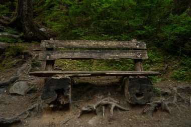Olimpiyat Ulusal Parkı 'ndaki Sol Duc Şelalesinde Aged Park Bench boyunca uzanan patika